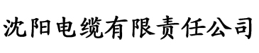 如何玩弄大师兄电缆厂logo